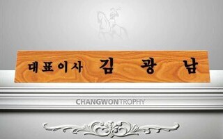 B703 나무무늬특색