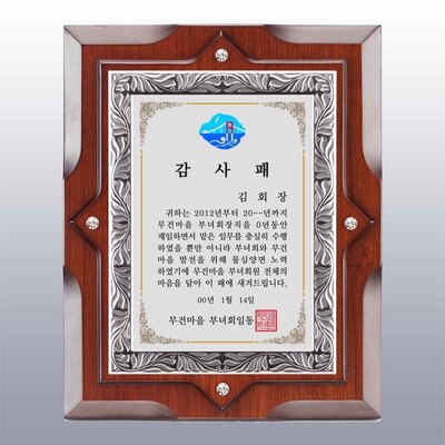 폴리루시S